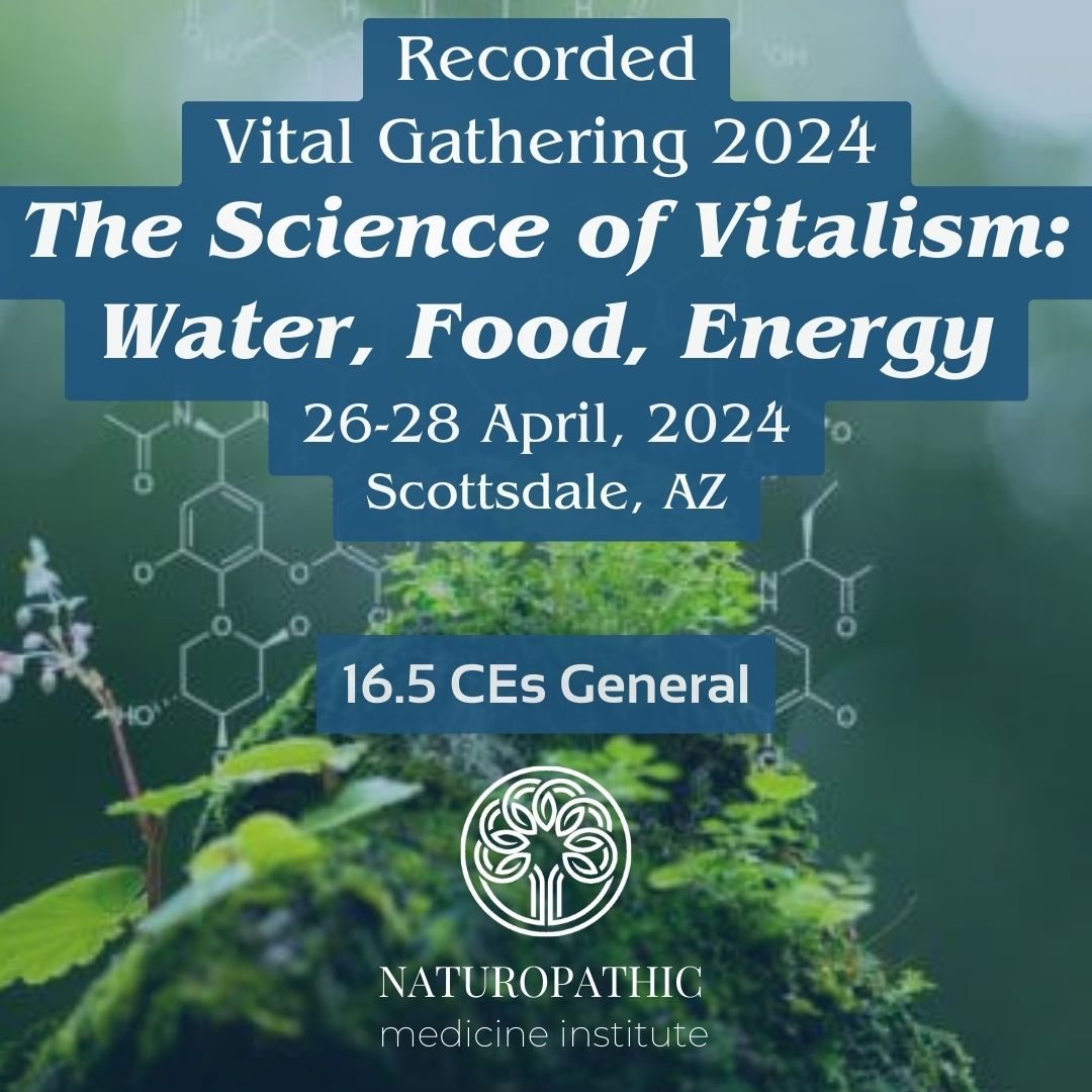 Vital Gathering 2024 -Recorded