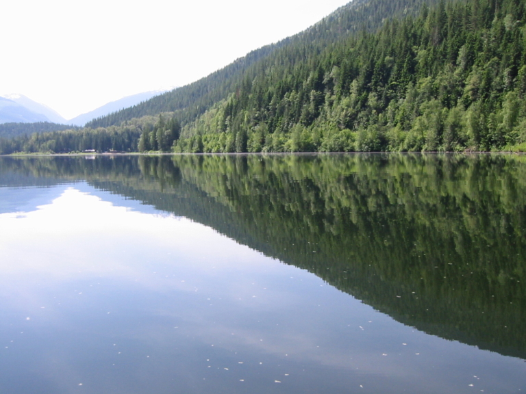 Griffin Lake Lodge 4 768x576