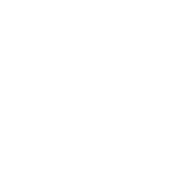 VNMI_Symbol VNMI_Symbol