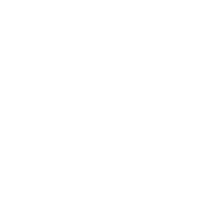 VNMI_Symbol